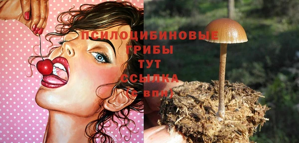 меф Белокуриха
