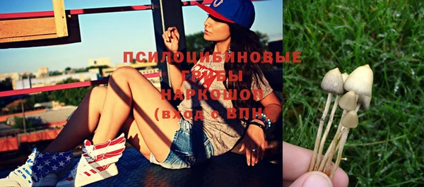 меф Белокуриха