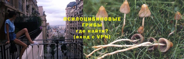 меф Белокуриха