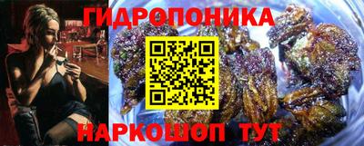 эйфоретик Усть-Джегута