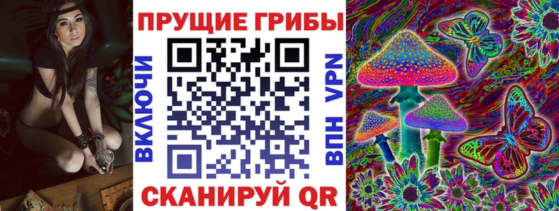 Псилоцибиновые грибы Psilocybe  купить закладку  Свободный 